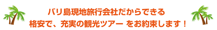 バリ島現地旅行会社だからできる  
格安で、充実の観光ツアー をお約束します！