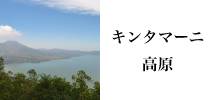 バリ島観光キンタマーニ高原の含まれるツアーへ