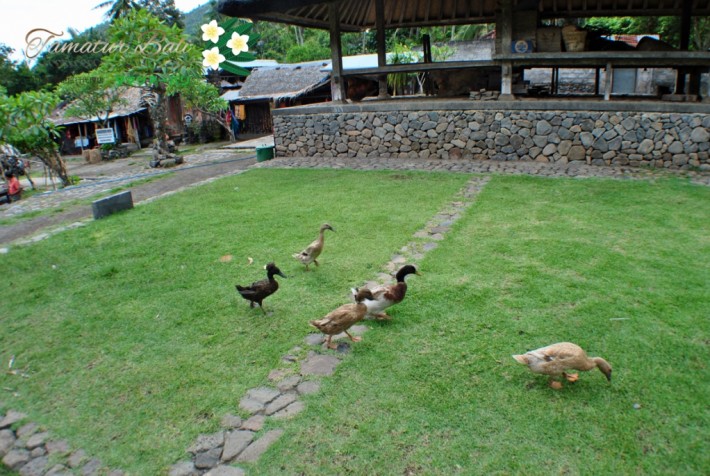 トゥガナン村