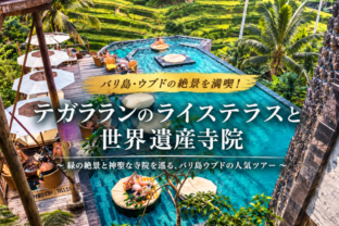 バリ島王道観光｜テガラランの絶景ライステラス＆聖なる寺院巡り・タナロット夕日