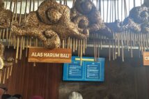 アラス・ハルム（Alas Harum）最新訪問記！絶品バリ料理と大人気プールクラブ「Cretya Ubud」のリアルをお届け！